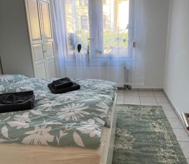Ginsheim-Gustavsburg House | Gemuetliches helles Zimmer mit guter Anbindung nach Mainz und Wiesbaden Gemeinschaftsbadezimmer