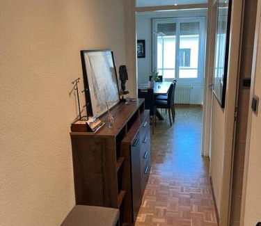 Jargonnant Apartment | Genève magnifique appartemens aux Eaux vives