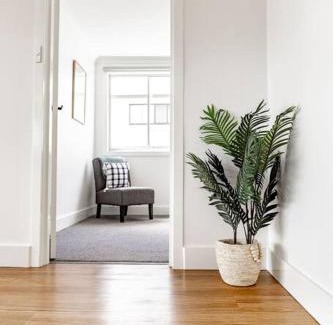 Stieglitz House | Georges Bay Bungalow - Home