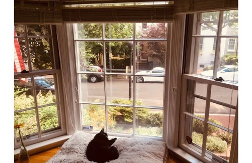 Georgetown House | Georgetown Rowhouse