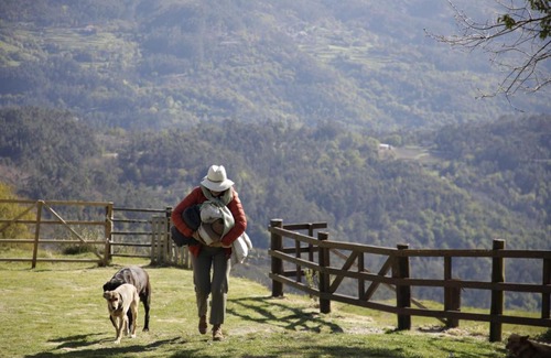 Brufe Villa | Gerês - Leiras do Tempo - Cottages