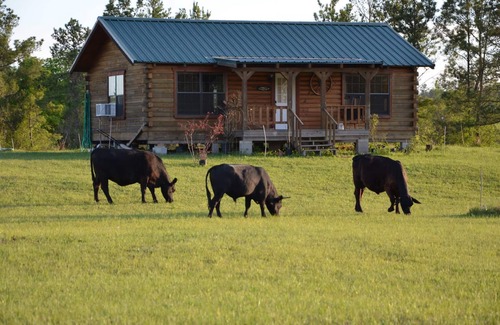 Huntsville Cabin | GETAWAY LOG CABIN with 2-ACRE POND FOR REST AND RELAXATION