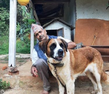 Changunarayan House | Ghattetar agriculture farm and homestay