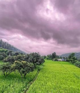 Dehradun House | Ghughuti Homestay