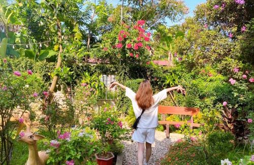 Cao Bang House | Gia Bảo Homestay - Cao Bằng