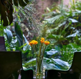 Historic Center Apartment | Giardino Segreto - History and Design