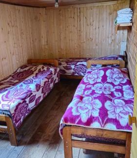 Khulo Ski Chalet | Giglas cottage on Gomismta