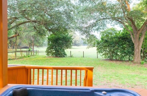 High Springs House | Ginnie Springs Hidden Scuba Oasis Retreat! Only 1 minute from Ginnie Springs