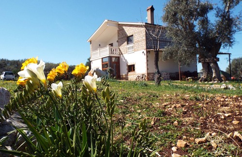 San Nicandro Garganico Bed & Breakfast | Gio Horses B&B located in the Gargano National Park between sea, lakes and woods.