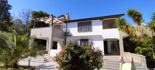 Alcamo House | Gioia Guesthouse
