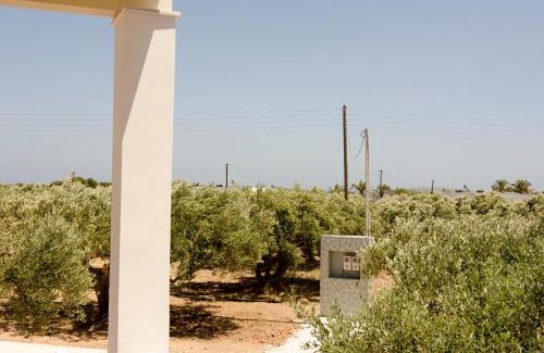 Vigla House | Giorgos villa