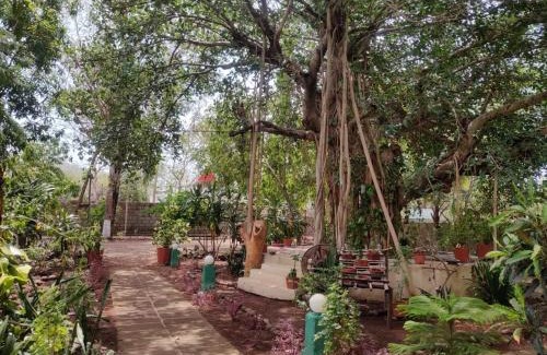 Talala Hotel | Gir Birding Lodge