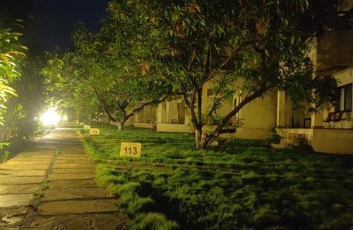 Talala Hotel | Gir Birding Lodge