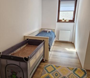 Sfantu Gheorghe House | GIRO Guest House