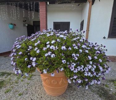 Santa Maria La Palma Apartment | Giro'