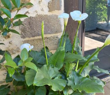 Saint-Justin House | Gite 2, Domaine Logis Gascogne