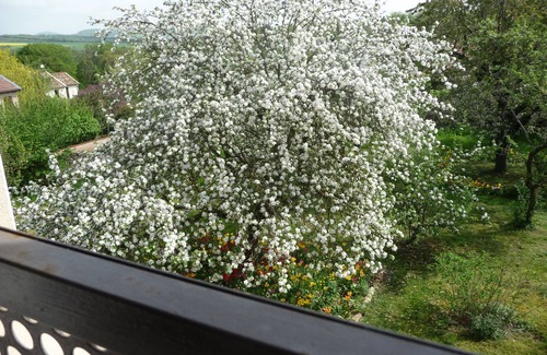 Villers-en-Haye Apartment | GITE-APART comfortable between Nancy and Metz in "Little Switzerland Lorraine".