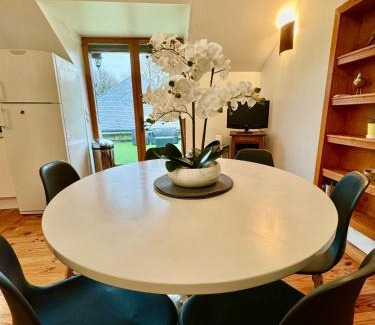 Vernou-sur-Brenne Apartment | GITE DANINOU; meublé 3 chambres avec terrasse (1er étage du château) , salon et cuisine ouverte