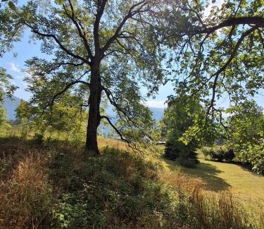 Artalens-Souin House | Gite Dans Grange Foraine - Ruisseau