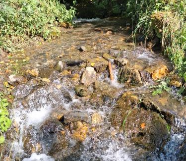Artalens-Souin House | Gite Dans Grange Foraine - Ruisseau