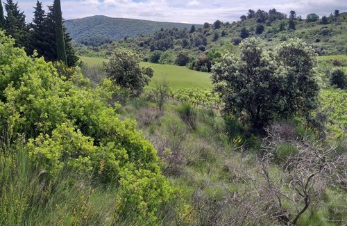 Montirat House | Gite dans les collines