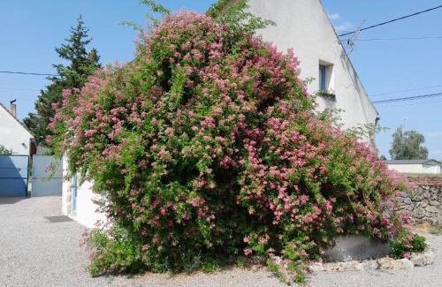 Louchy-Montfand House | Gite de Marcureau