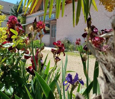 Ameugny House | gite des palmiers