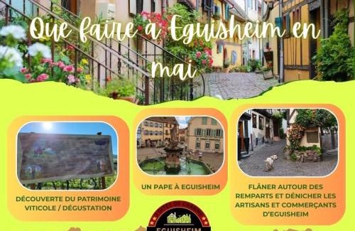 Eguisheim Apartment | Gite Edelweiss à Eguisheim