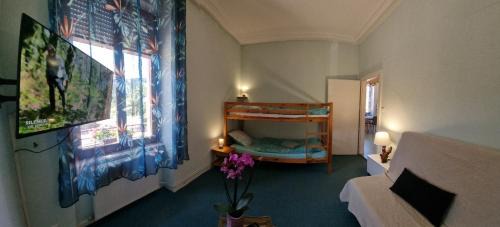 Ventron Apartment | Gite Fougère 2 à 6 personnes avec SPA et salle de jeux dans la résidence