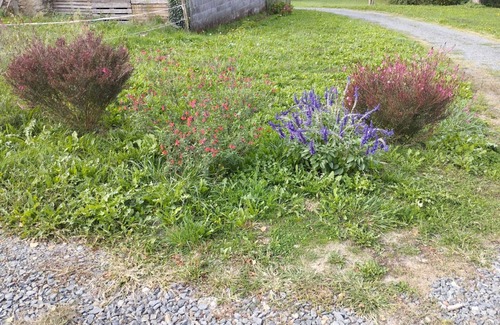 Genis Cottage | Gite Génis, 2 bedrooms, 4 persons