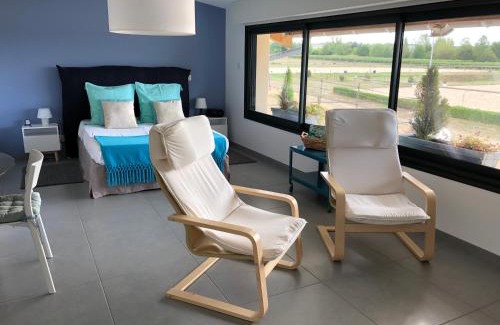 Bouloc Apartment | Gite-Grand studio contemporain proche Toulouse dans domaine Equestre