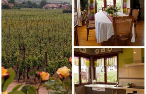 Riquewihr House | Gite Le Mandlé