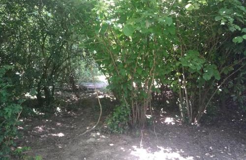 Grand'Landes House | Gite les Farfadets - 12 personnes maxi