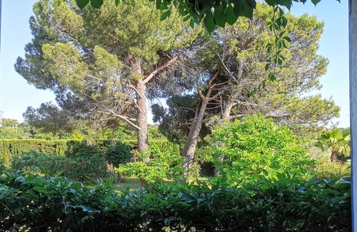 Castelnau-le-Lez Apartment | Gîte Pic St Loup aux Coquilloux between nature and swimming pool, 10 minutes from the beach