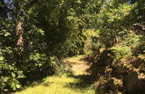 Le Buisson-de-Cadouin Apartment | GITES DU MOULIN A VENT