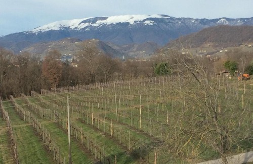 Refrontolo Bed & Breakfast | Giuliva B&B