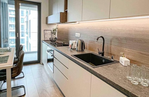 Aviatiei Apartment | Glamorous 1BR condo w/free parking