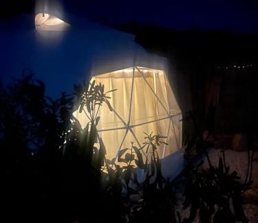 Rose Other | Glamp Rose