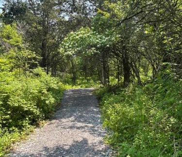Greater Napanee Other | Glampanee - off grid SITE 2