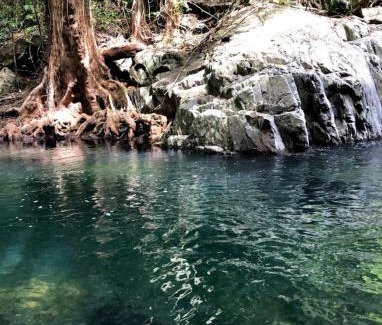 Kamerunga Other | Glamping at Mirimbi