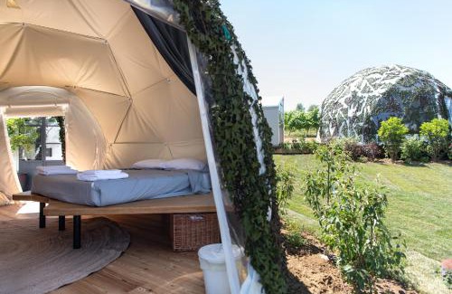 Moncalvo Other | Glamping Bio28