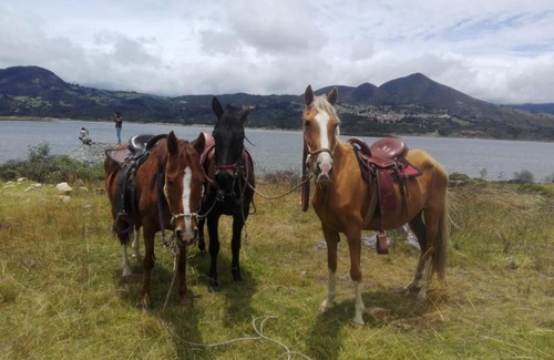 Guatavita Other | Glamping Cabaña San Martin