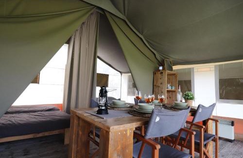 Twijzel Other | Glamping in Friesland with friends