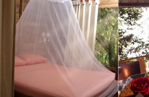 Palmira Other | Glamping Lomaroja ecohabs