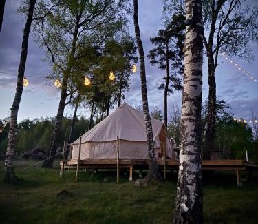 Laholm Municipality Other | Glamping med alpackor