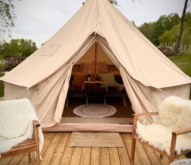 Laholm Municipality Other | Glamping med alpackor