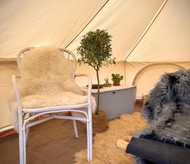 Laholm Municipality Other | Glamping med alpackor