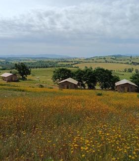 Magliano in Toscana Other | Glamping Podere Angiotto LODGE LAVANDA