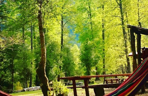 Curarrehue Other | Glamping Pods Saltos Pocolpén