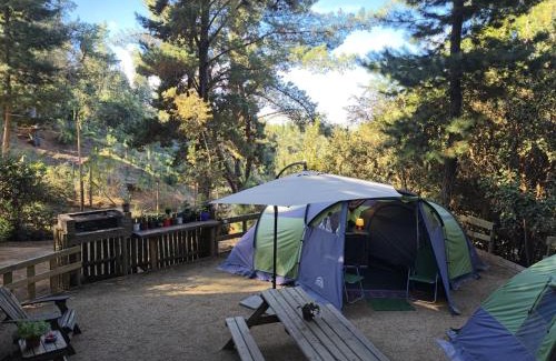 Puertecillo Other | Glamping Puertecillo Surf & Camp